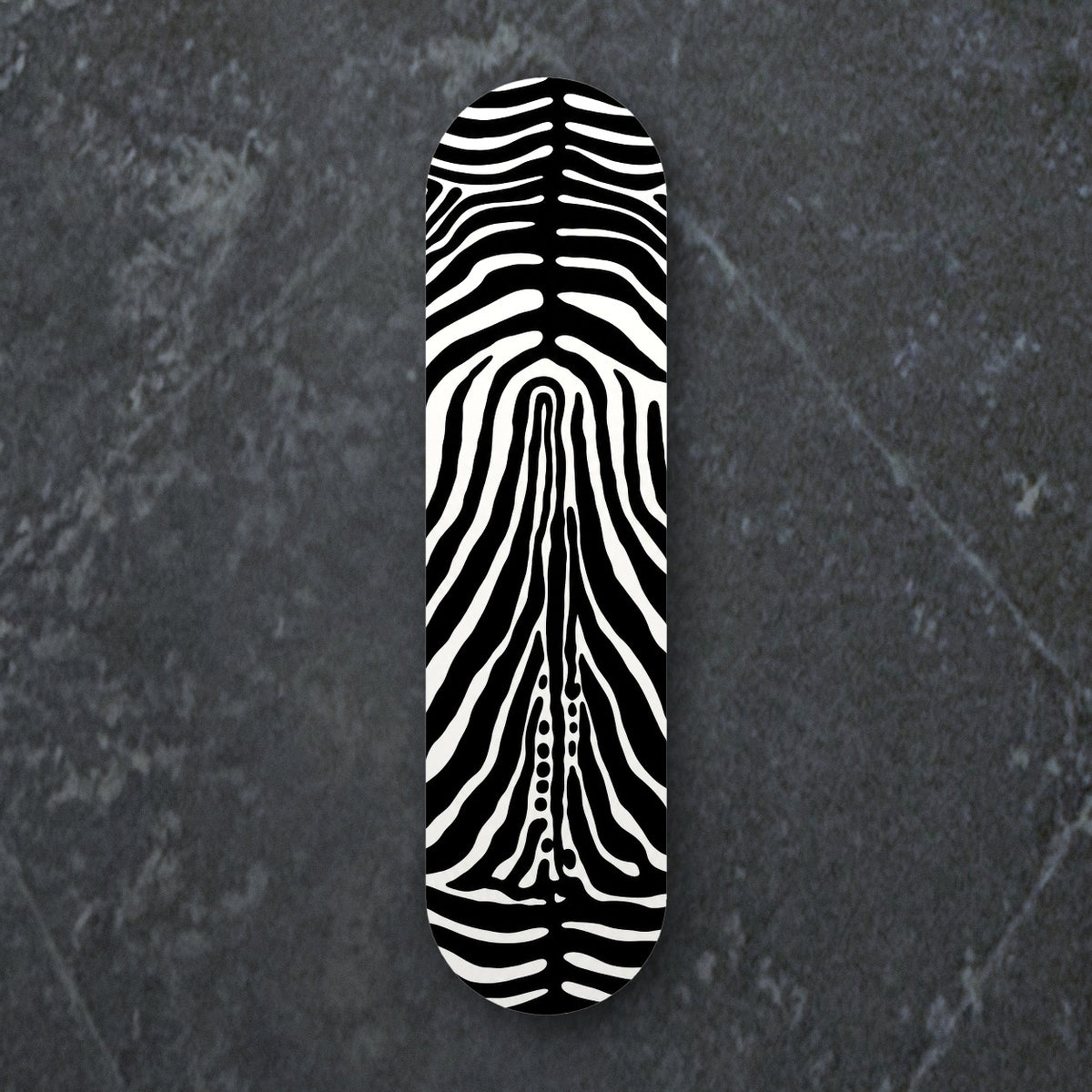 Zebra Deck